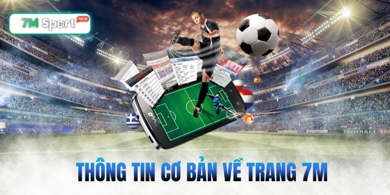 Thông tin cơ bản về trang 7M